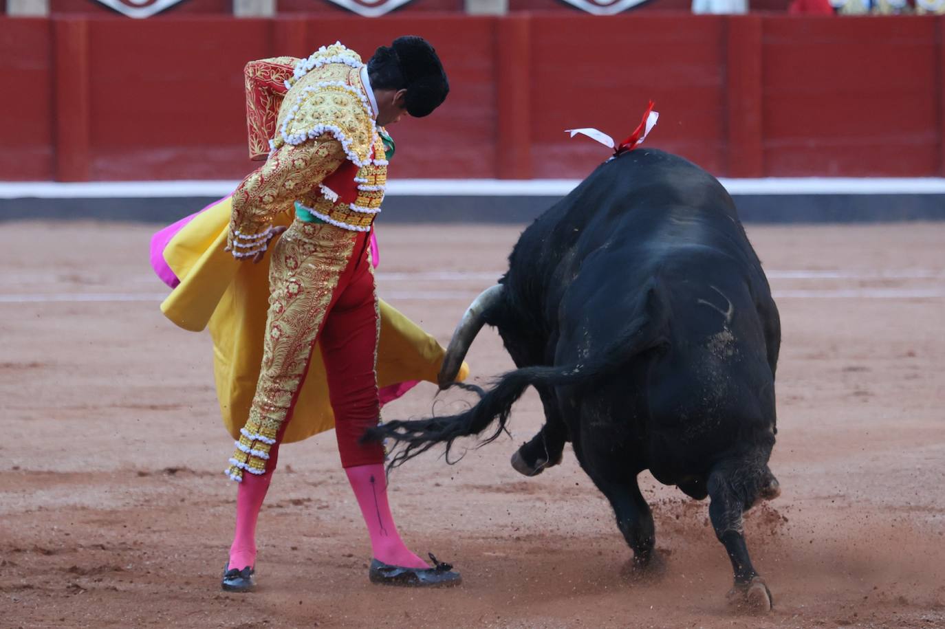 Las mejores imágenes del indulto de Buenasuerte en La Glorieta