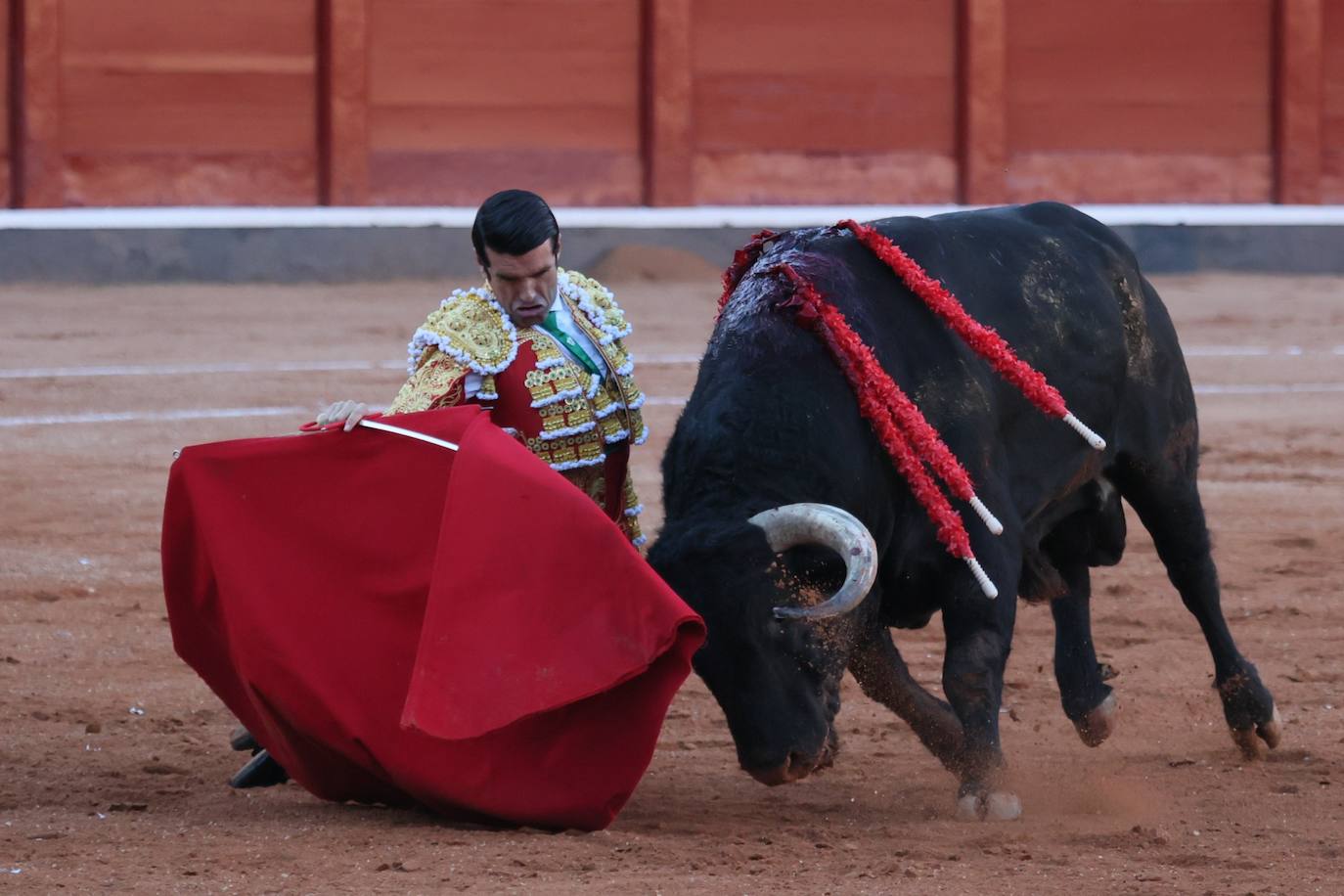 Las mejores imágenes del indulto de Buenasuerte en La Glorieta