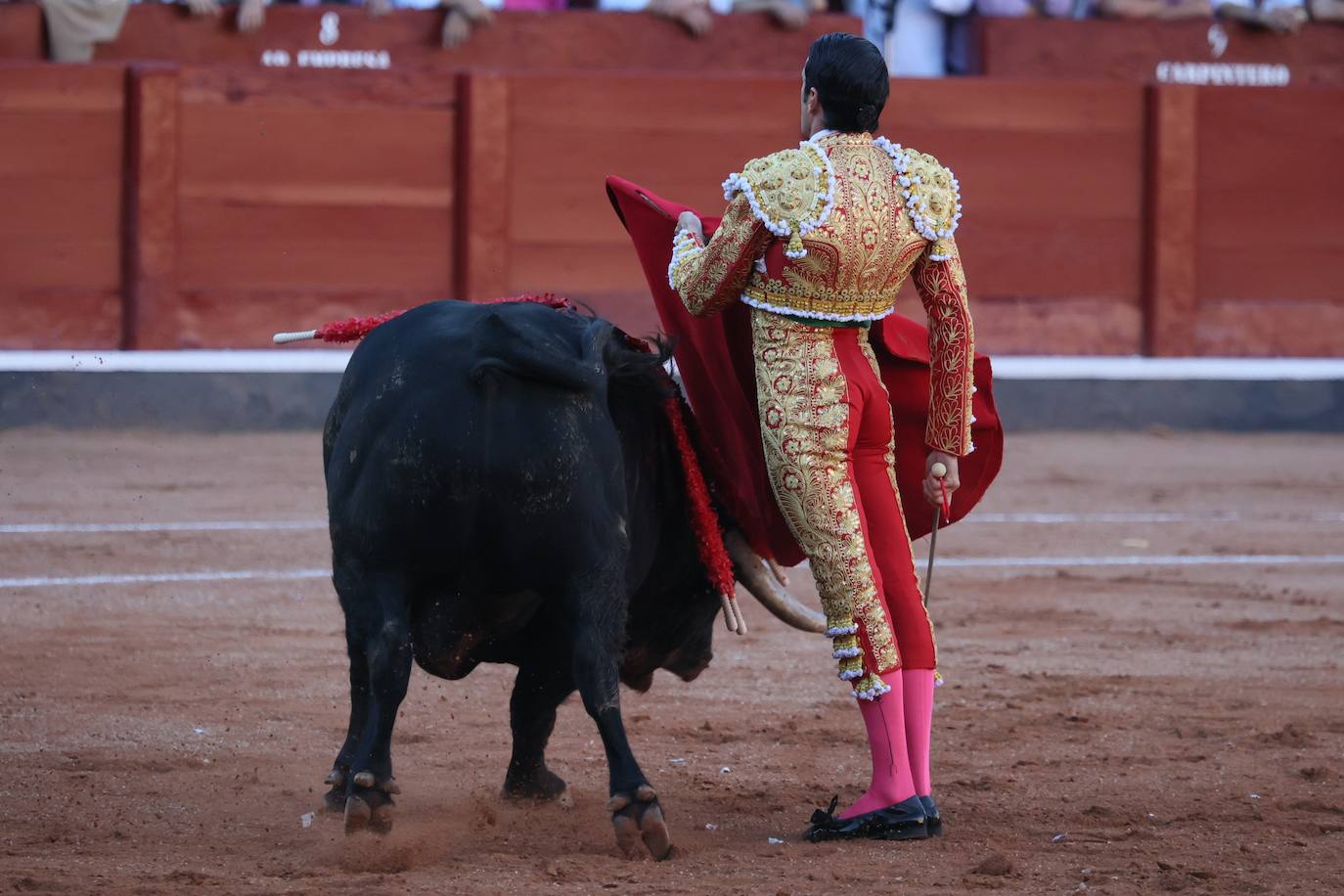 Las mejores imágenes del indulto de Buenasuerte en La Glorieta