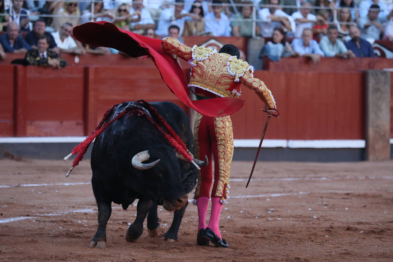 Las mejores imágenes del indulto de Buenasuerte en La Glorieta