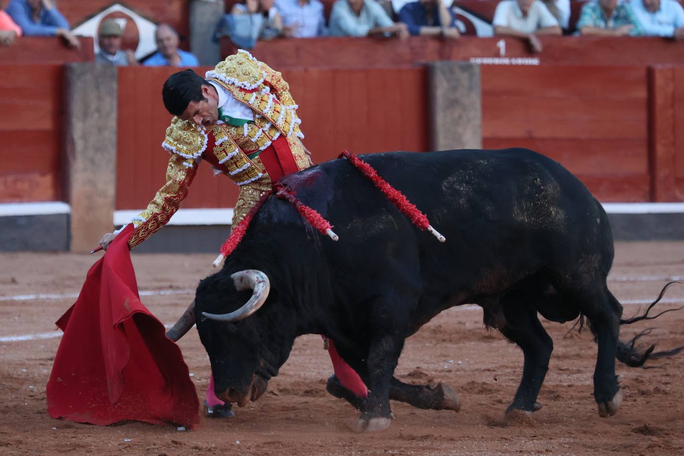 Las mejores imágenes del indulto de Buenasuerte en La Glorieta
