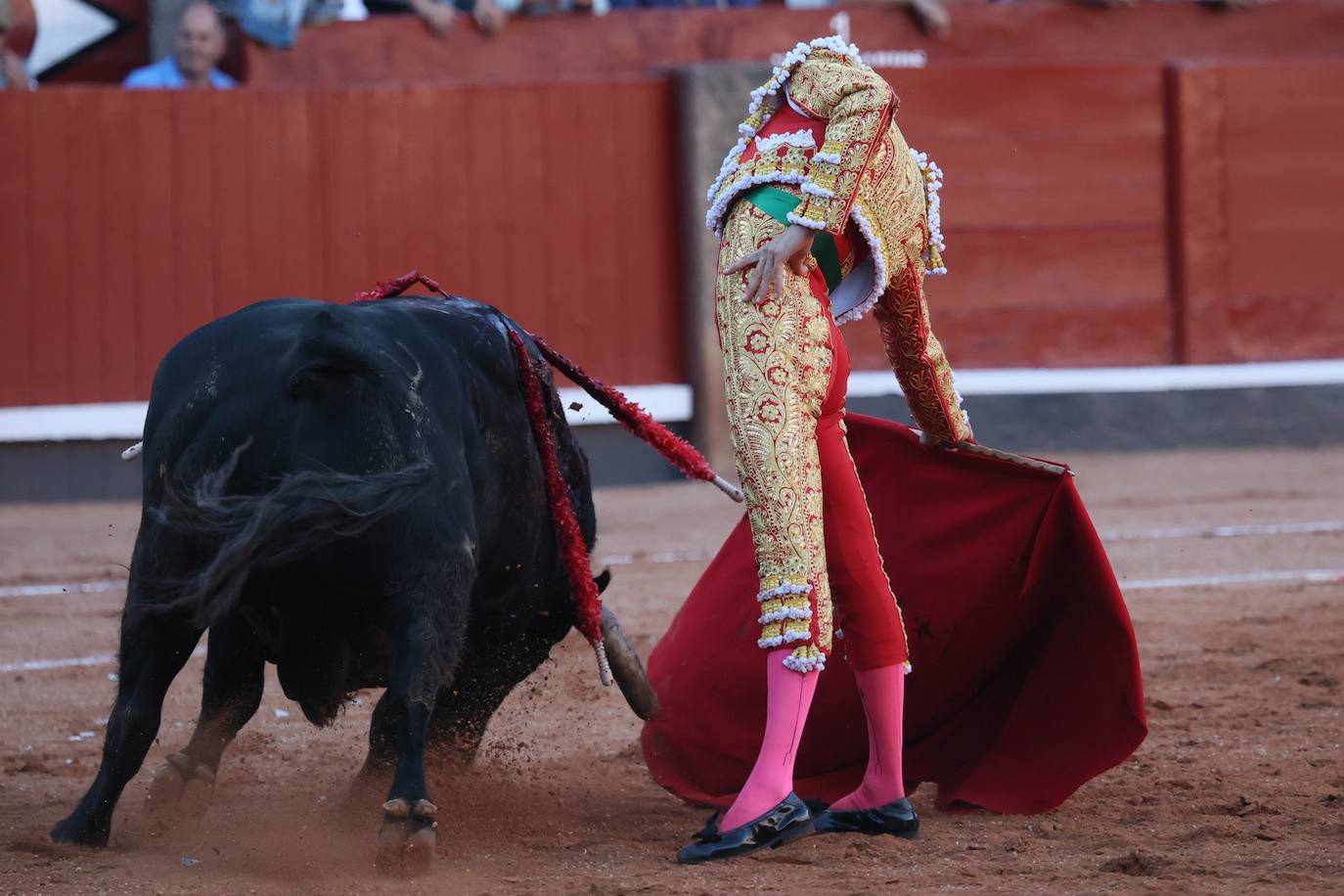 Las mejores imágenes del indulto de Buenasuerte en La Glorieta