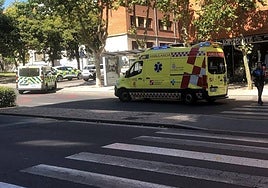 Policía y efectivos sanitarios en el lugar del atropello.