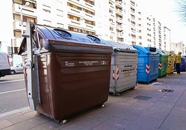 Contenedor marrón en el paseo de la Estación.