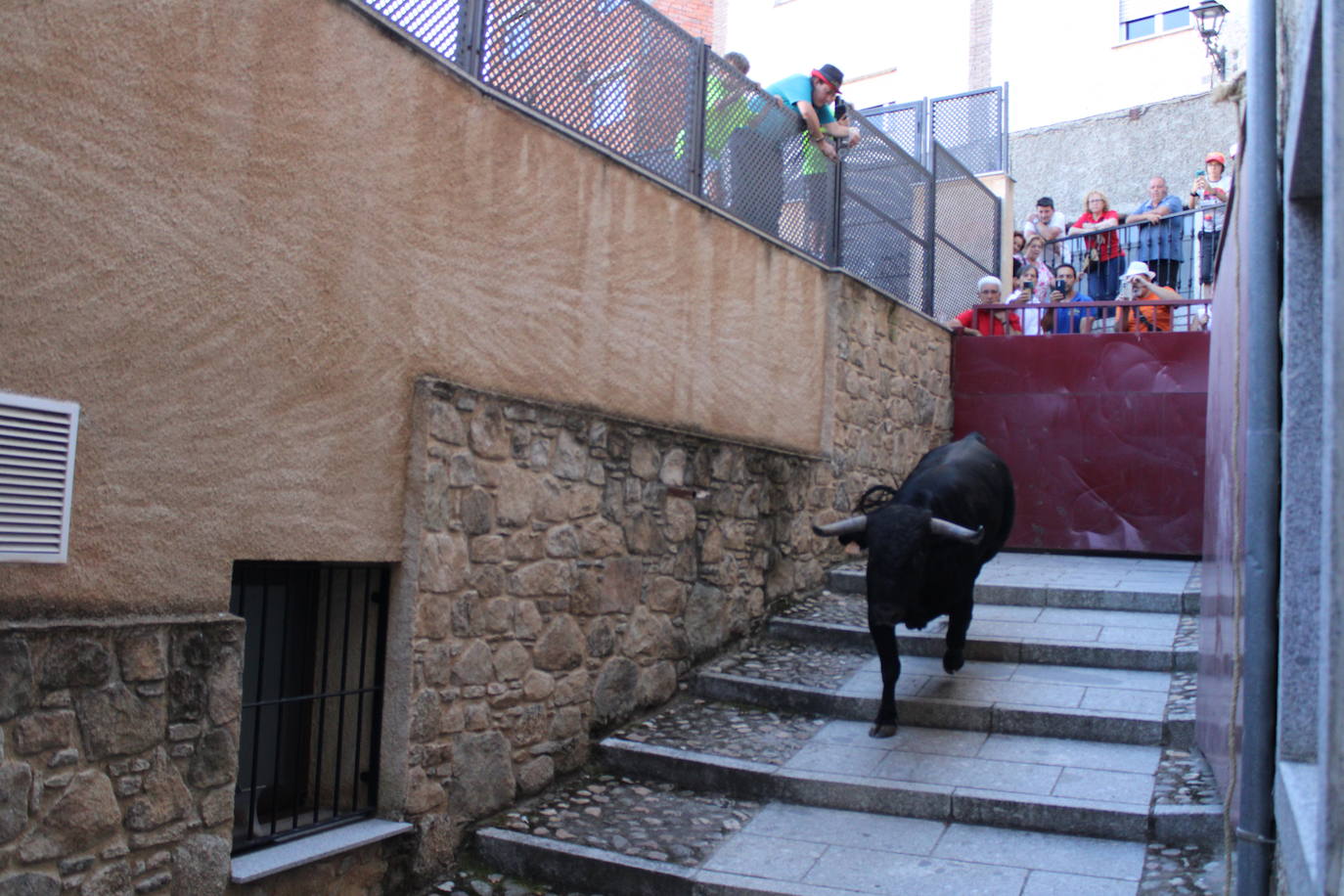 San Esteban de la Sierra disfruta con el toro