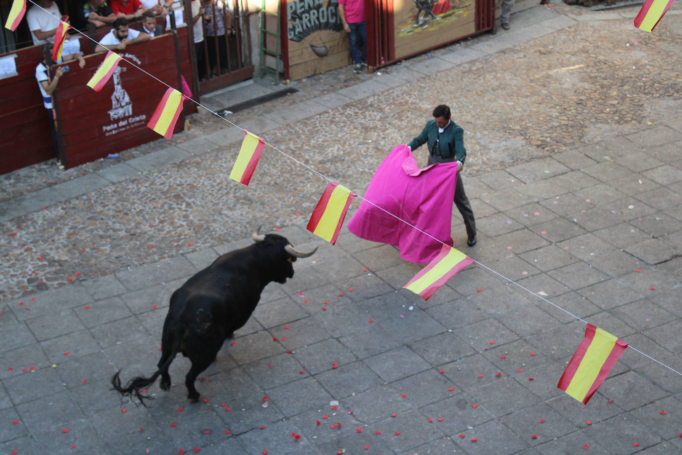 San Esteban de la Sierra disfruta con el toro