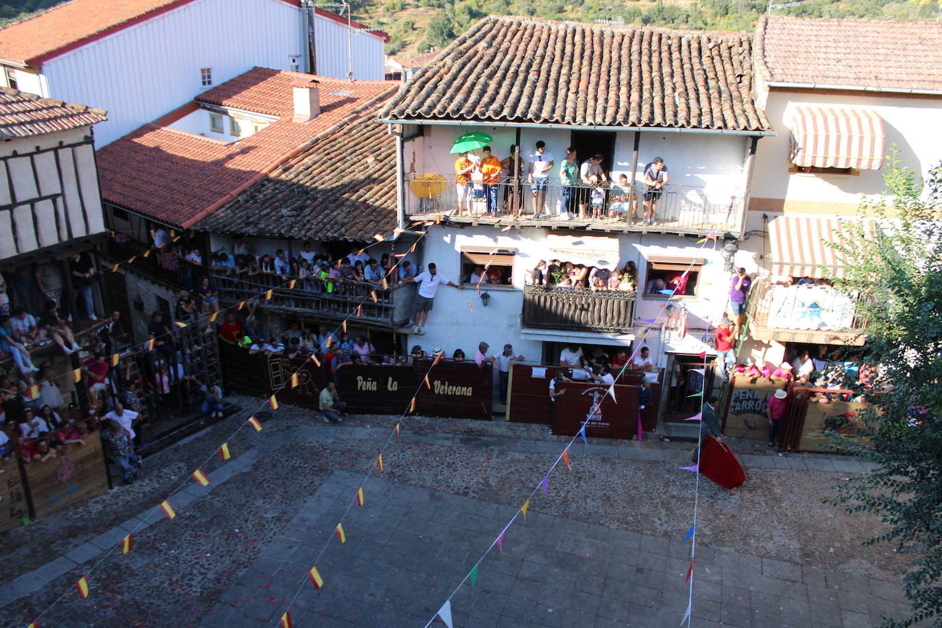 San Esteban de la Sierra disfruta con el toro