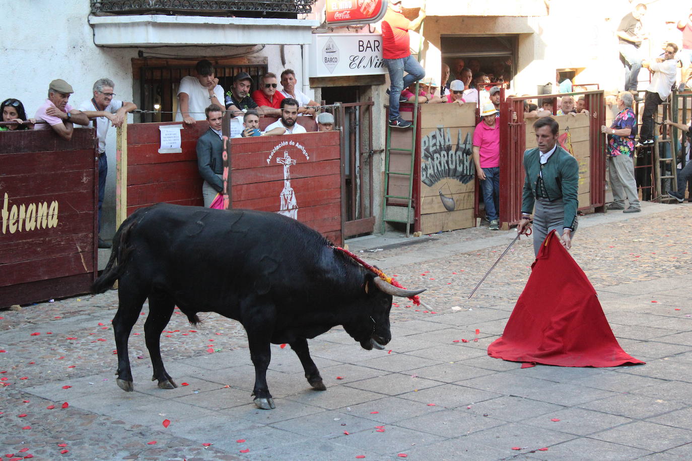 San Esteban de la Sierra disfruta con el toro
