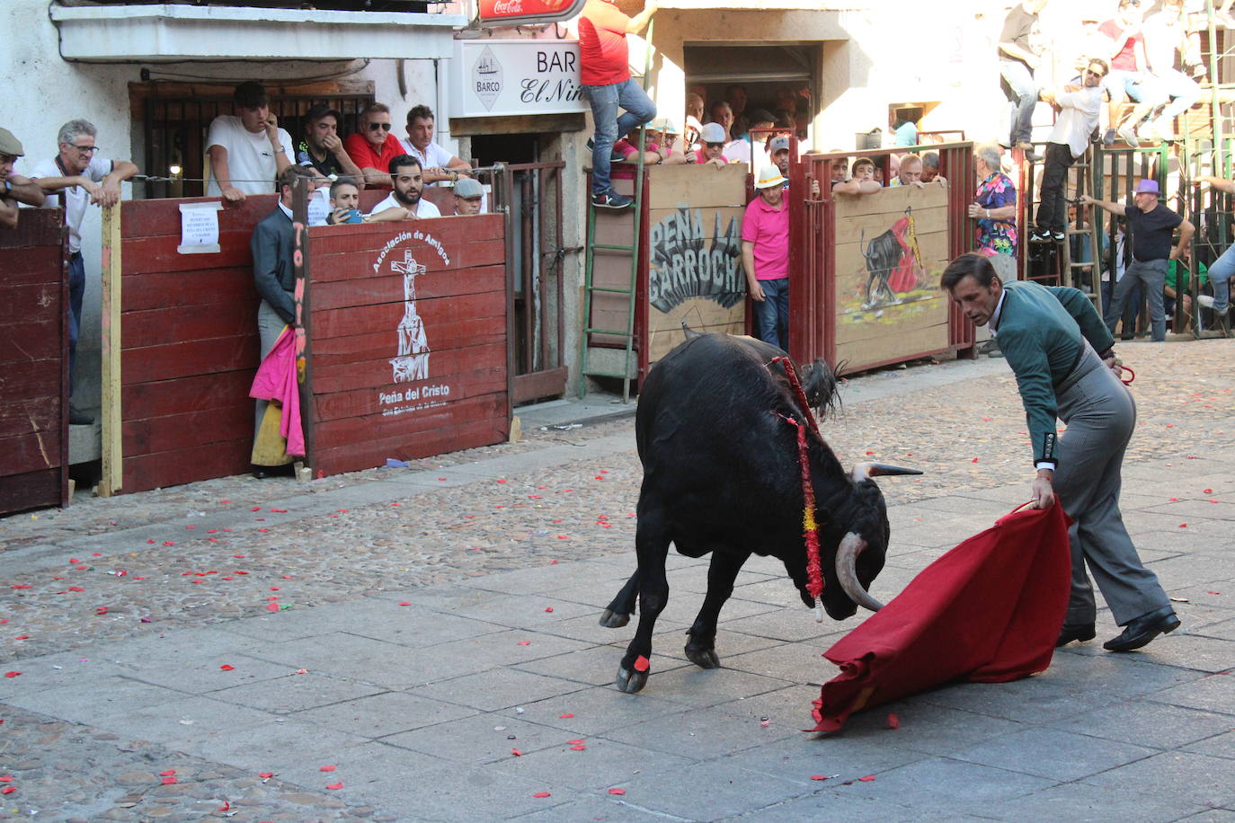 San Esteban de la Sierra disfruta con el toro