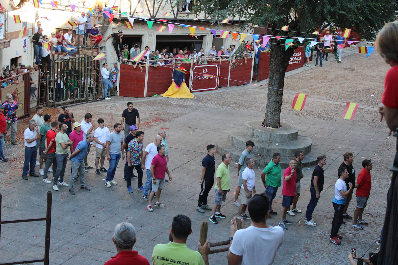 San Esteban de la Sierra disfruta con el toro