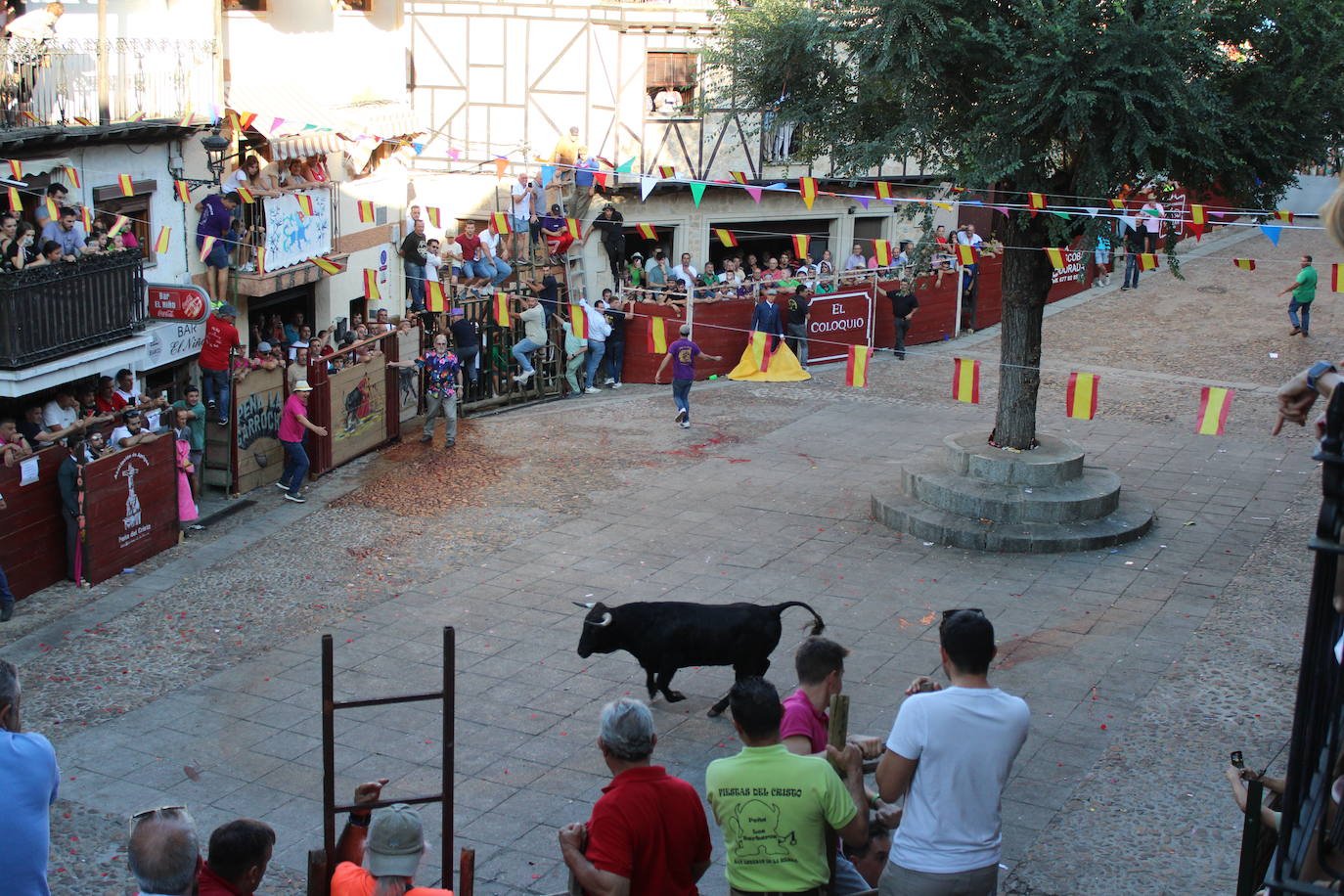 San Esteban de la Sierra disfruta con el toro