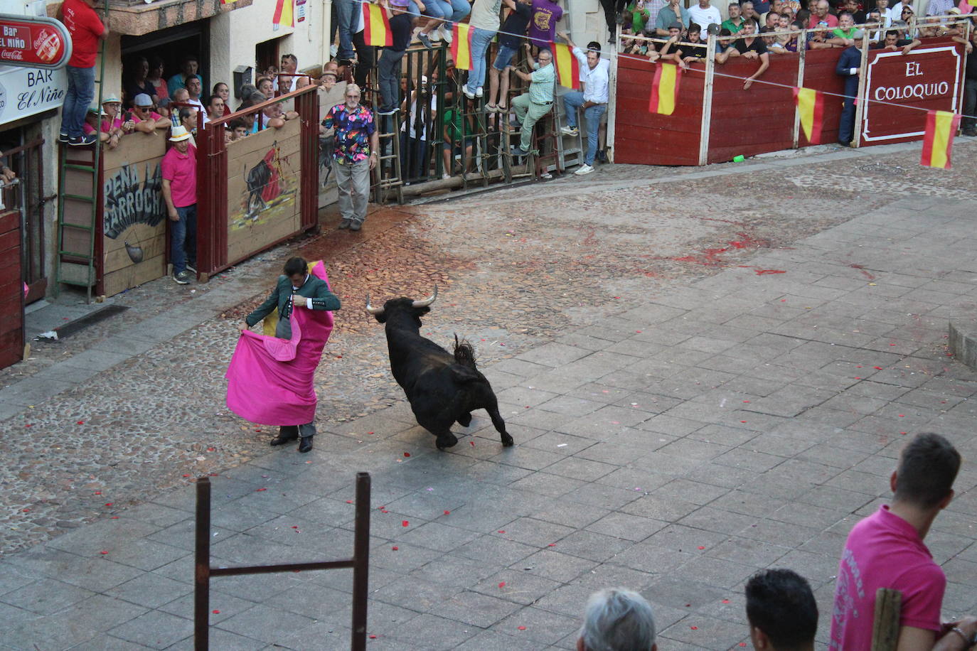 San Esteban de la Sierra disfruta con el toro