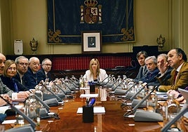 Fotografías Y Recursos De Vídeo Pleno Extraordinario Cgpj- CONSEJO GENERAL DEL PODER JUDICIAL - Archivo