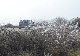 Un punto de la provincia con escarcha debido a las bajas temperaturas.
