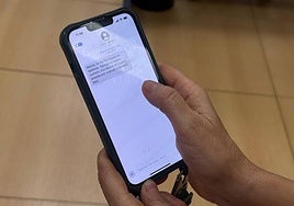 Imagen del mensaje recibido en un teléfono móvil.