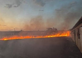 Imagen del incendio ocurrido este jueves en Peñaranda de Bracamonte.