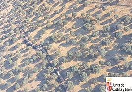 La zona del incendio en Carrascal de Barregas.