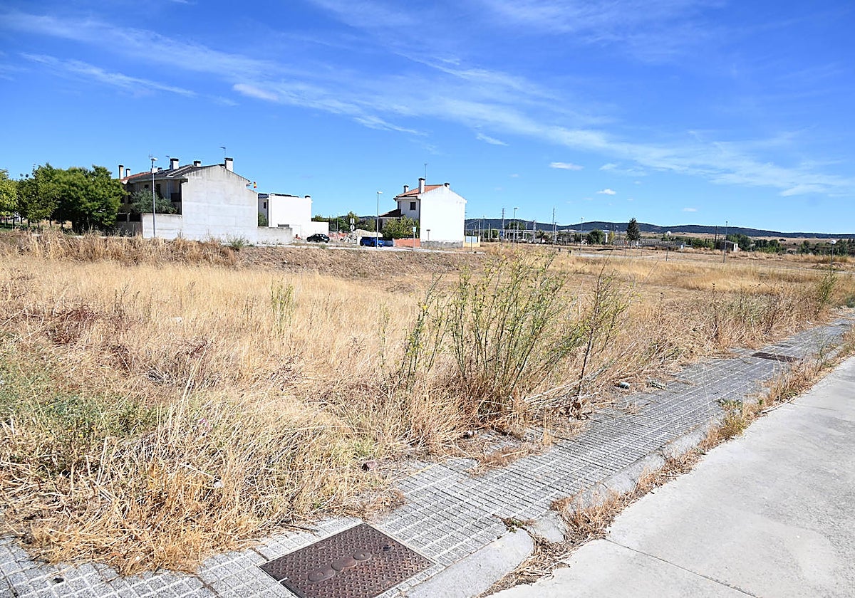 Imagen de las parcelas de la Junta en la que se plantea la construcción de las viviendas.