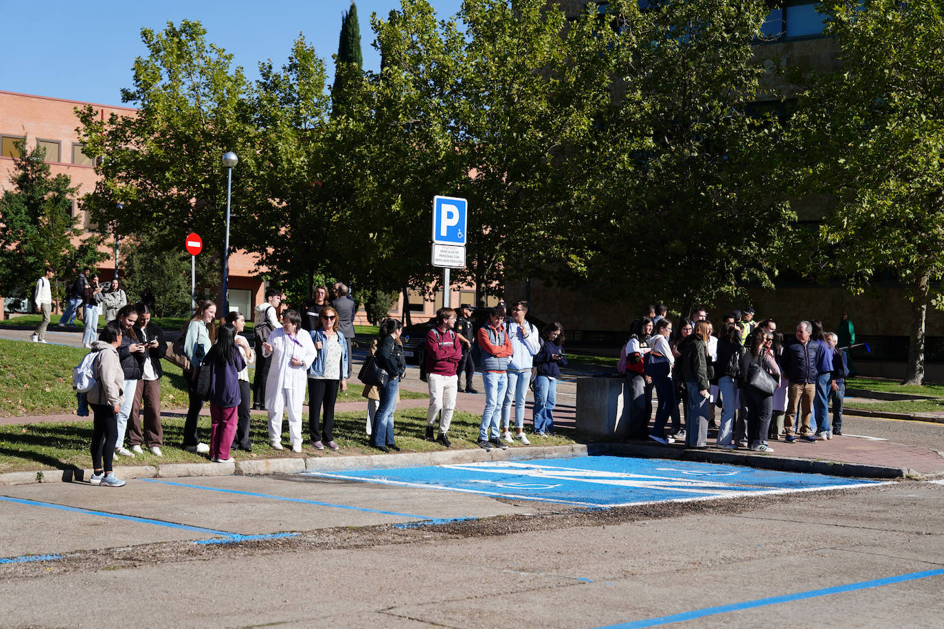 La visita de la reina Letizia a Salamanca, en imágenes