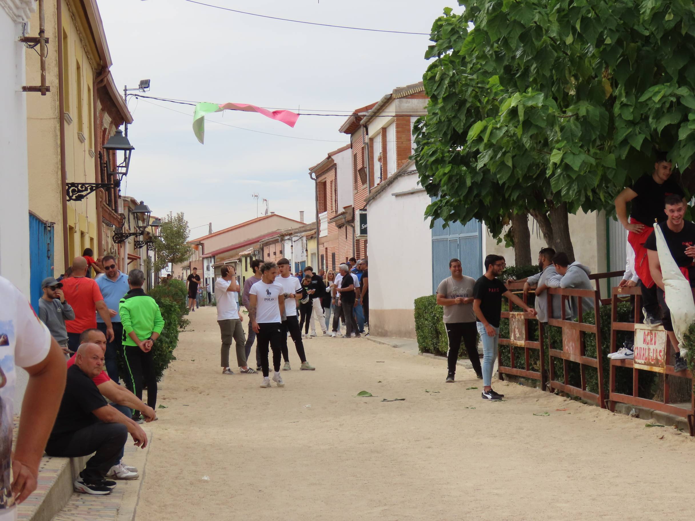 Bravura taurina en los encierros de Tarazona