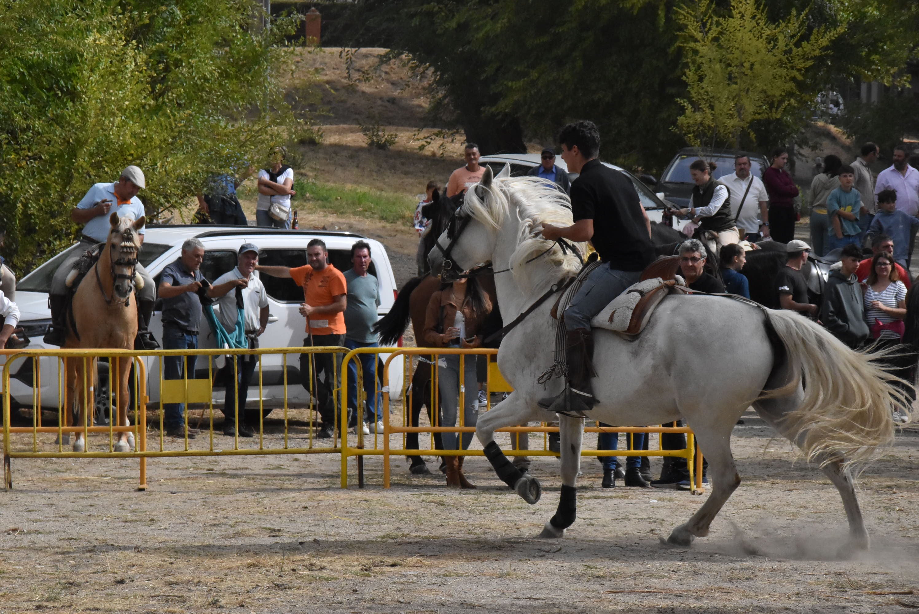 Éxito de público en la celebración de las Ferias de San Miguel en Béjar