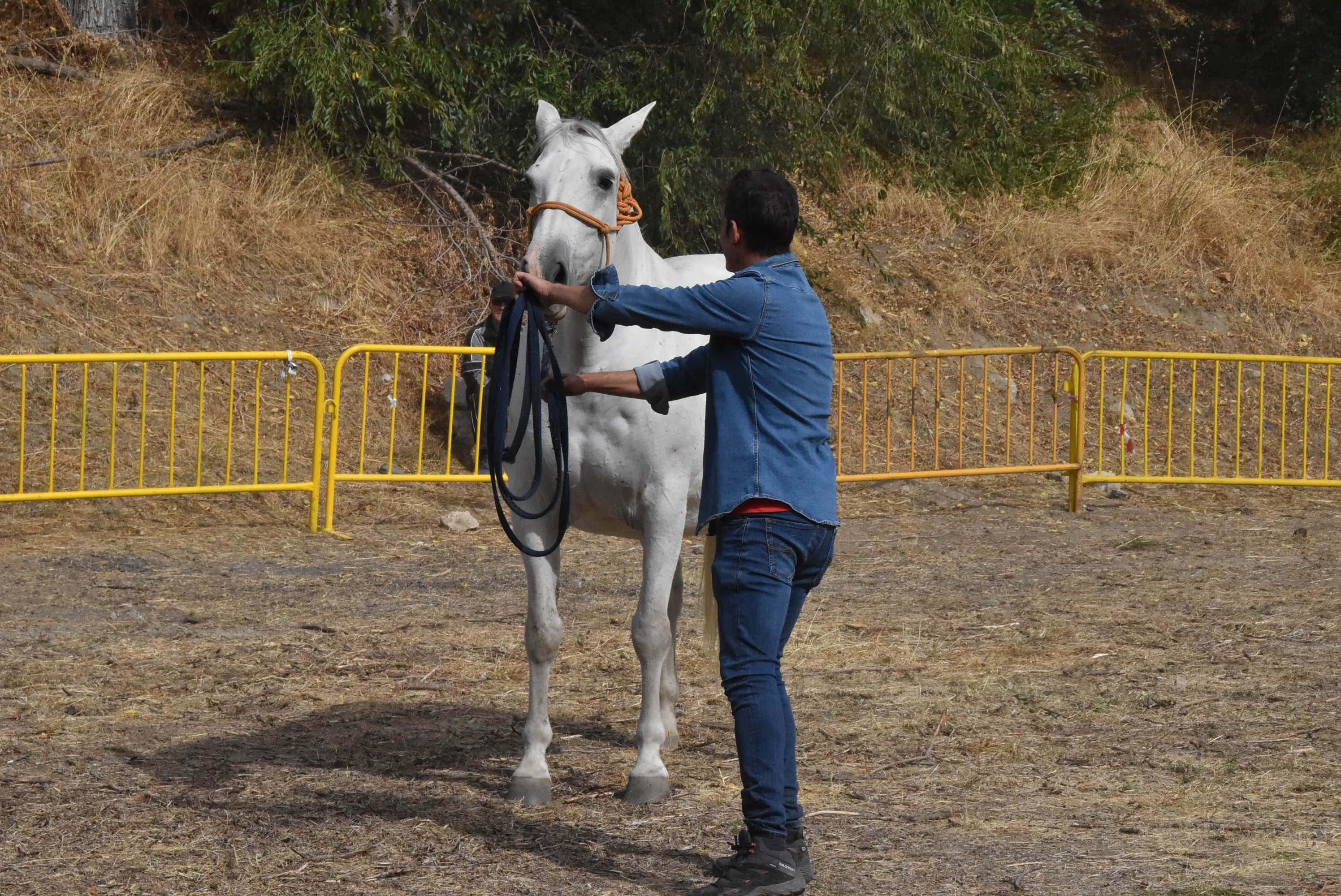 Éxito de público en la celebración de las Ferias de San Miguel en Béjar