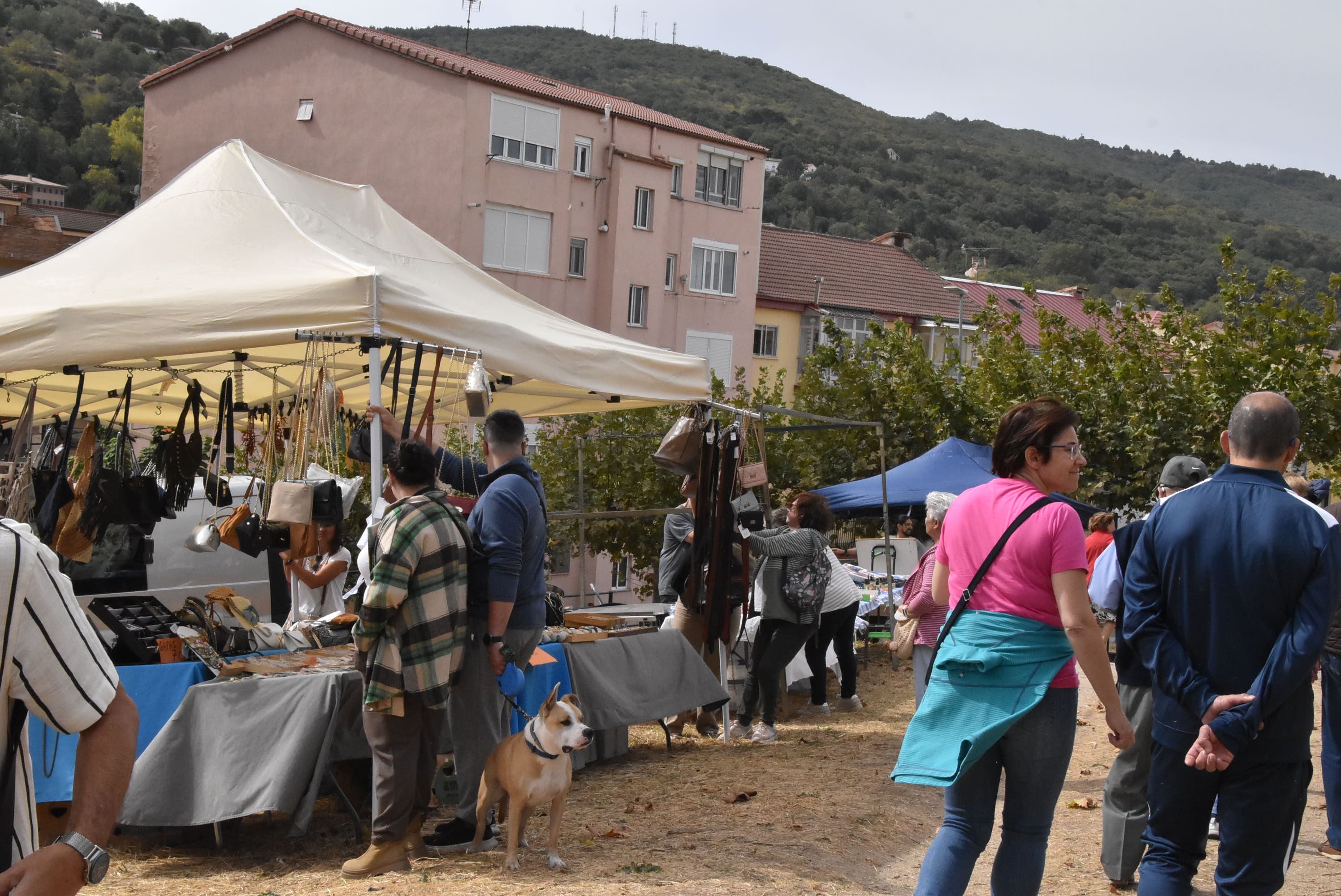 Éxito de público en la celebración de las Ferias de San Miguel en Béjar