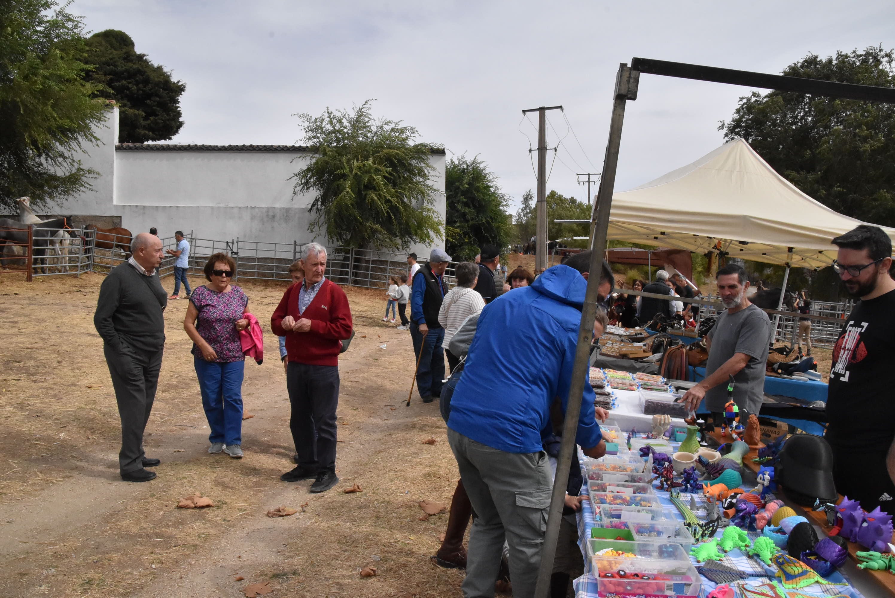 Éxito de público en la celebración de las Ferias de San Miguel en Béjar