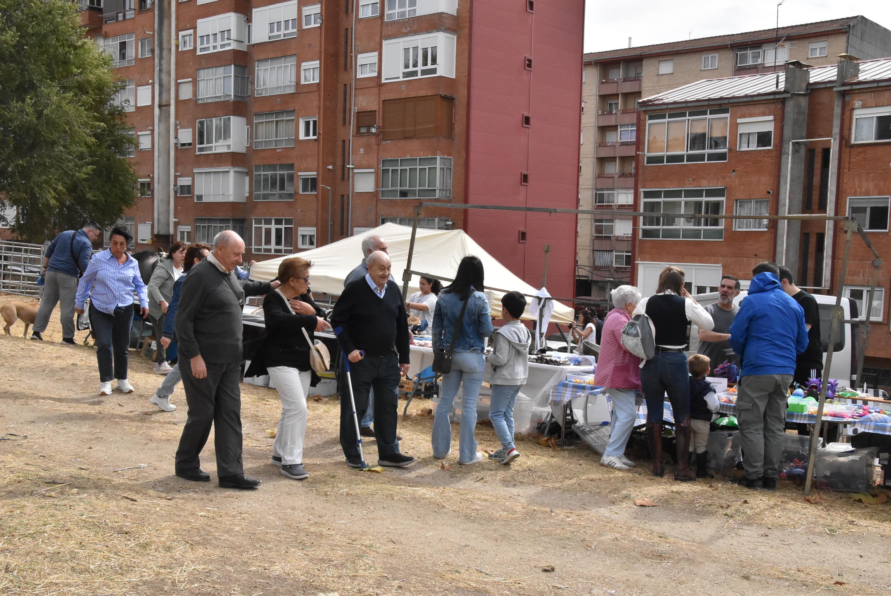 Éxito de público en la celebración de las Ferias de San Miguel en Béjar