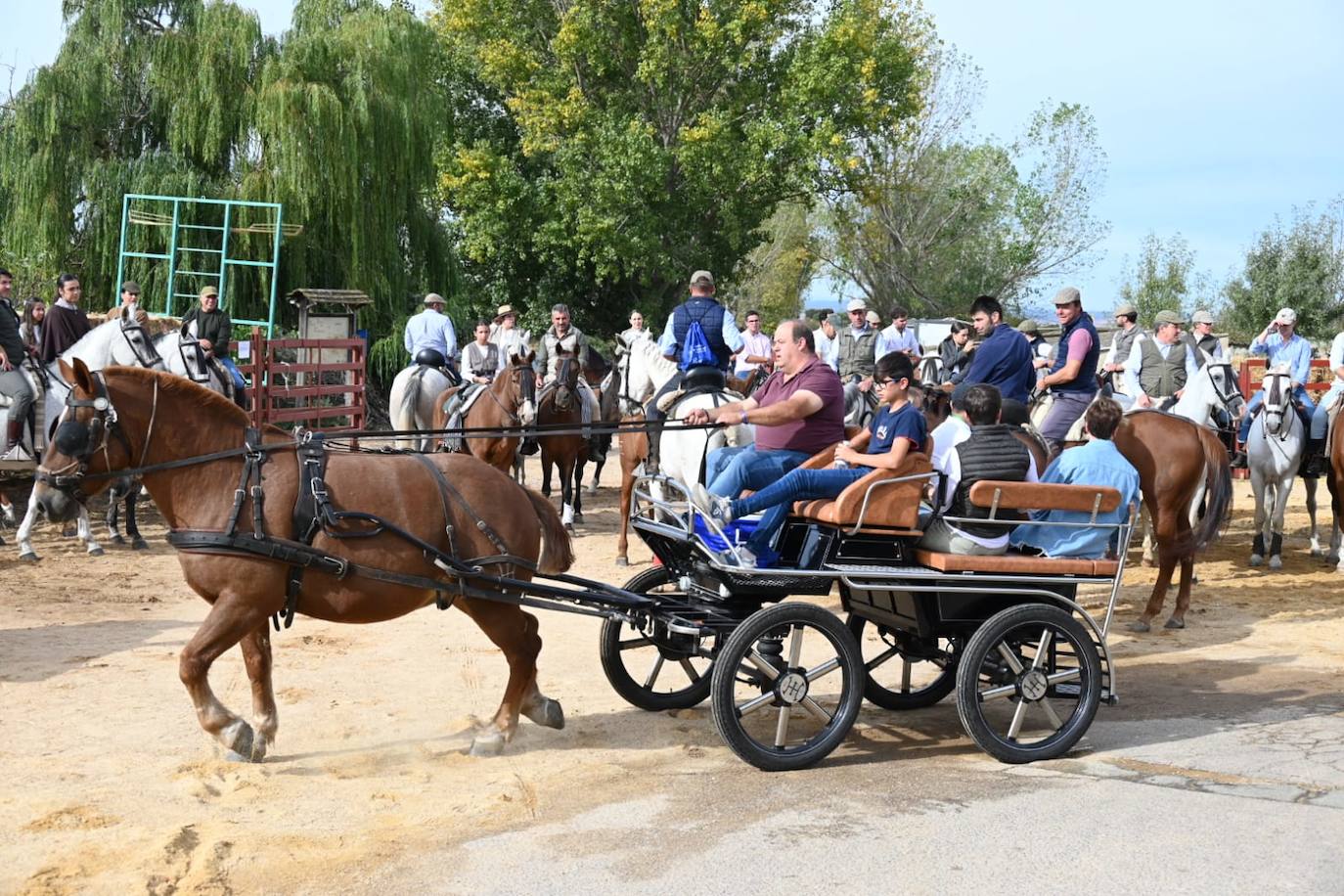 Exitosa marcha solidaria en Pedro Toro