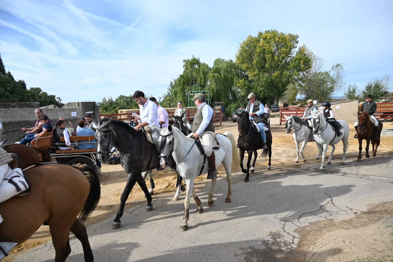Exitosa marcha solidaria en Pedro Toro