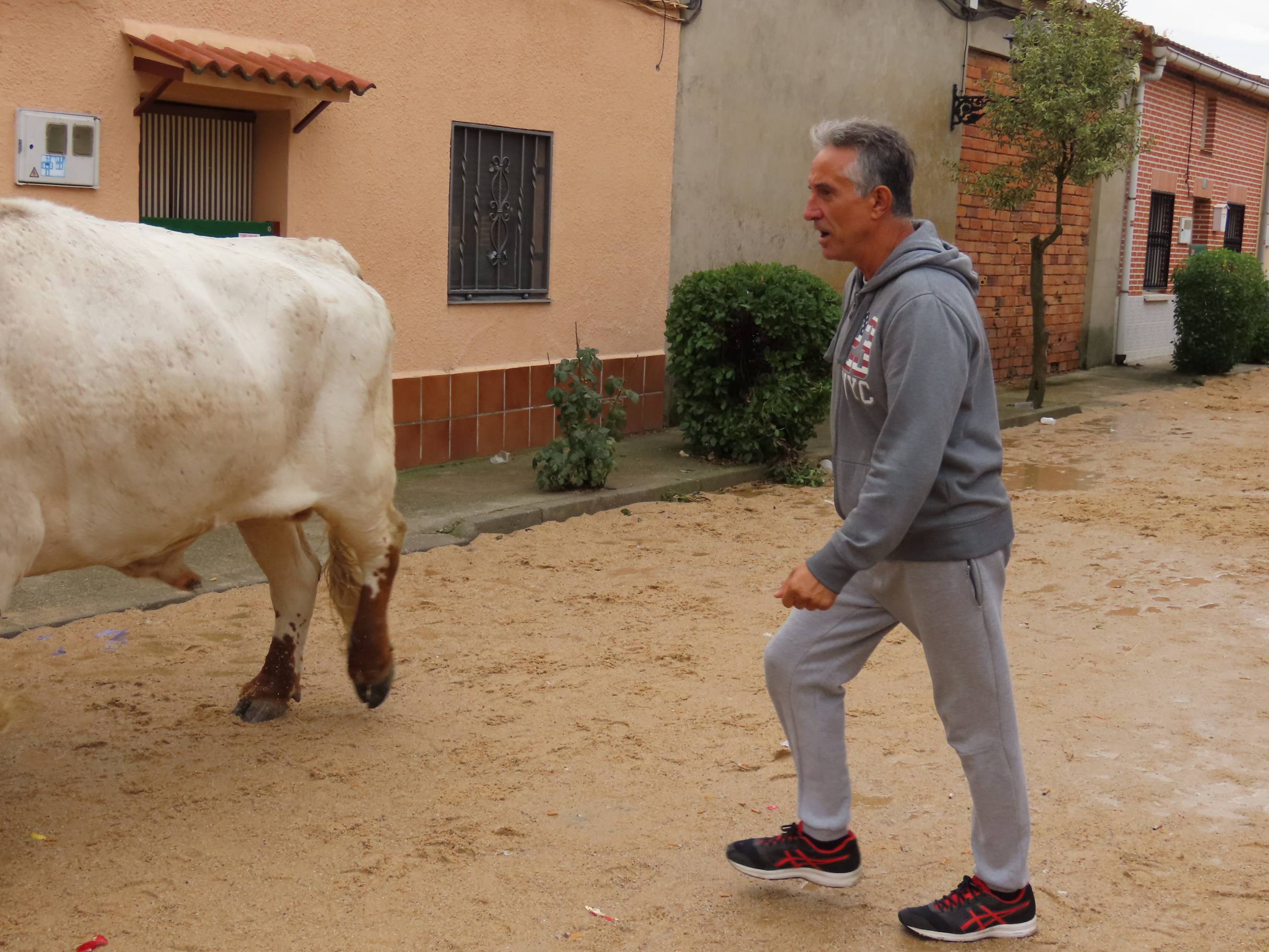 Bravura y encuentros en Tarazona de Guareña