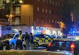 Agentes de la Policía Local de Salamanca junto a la herida tras ser arrollada por un turismo en la avenida de los Cipreses.