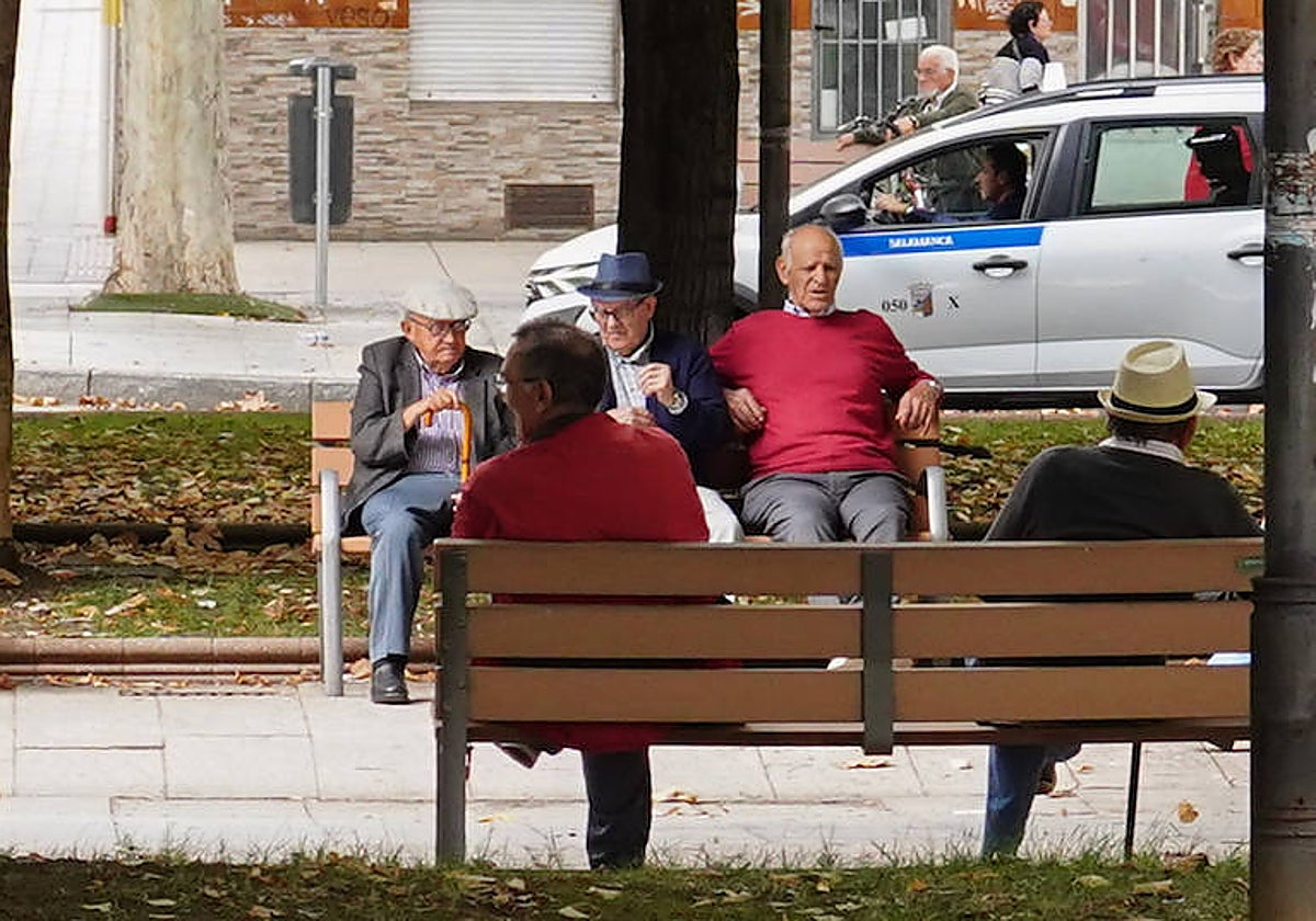 Un grupo de mayores en el parque de Vidal.