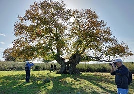 Actividad celebrada en Colmenar de Montemayor el año pasado.