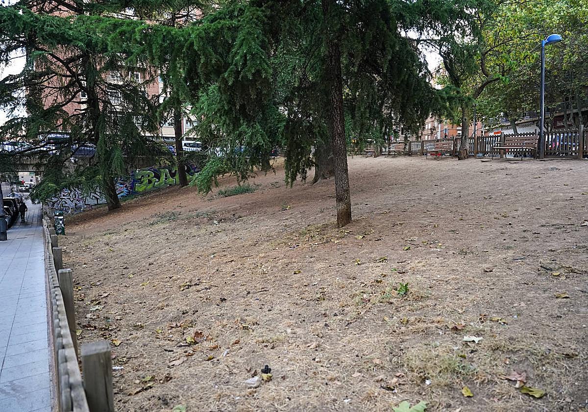 Un pipican o... un desierto