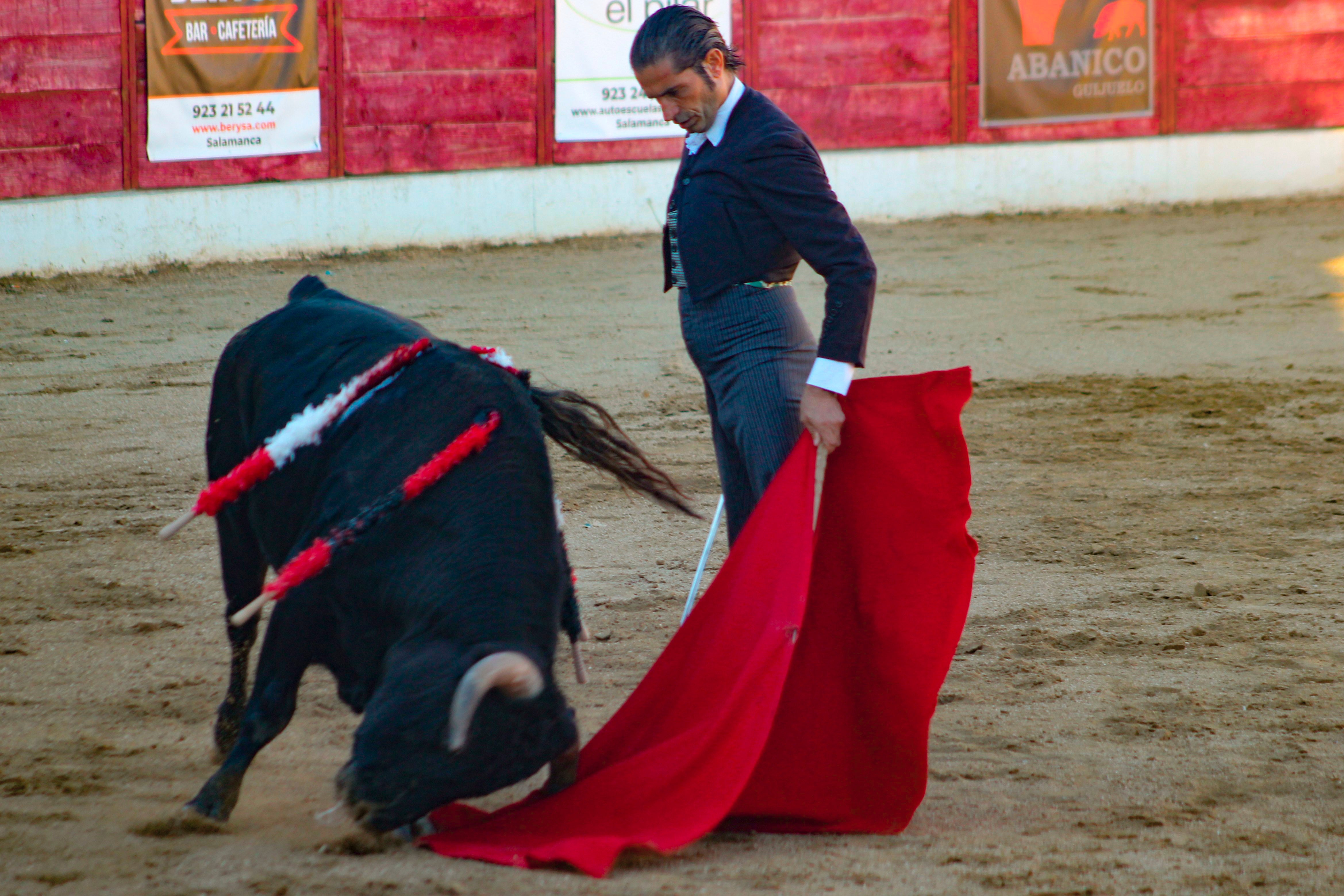 El festival taurino de Aerscyl, en imágenes