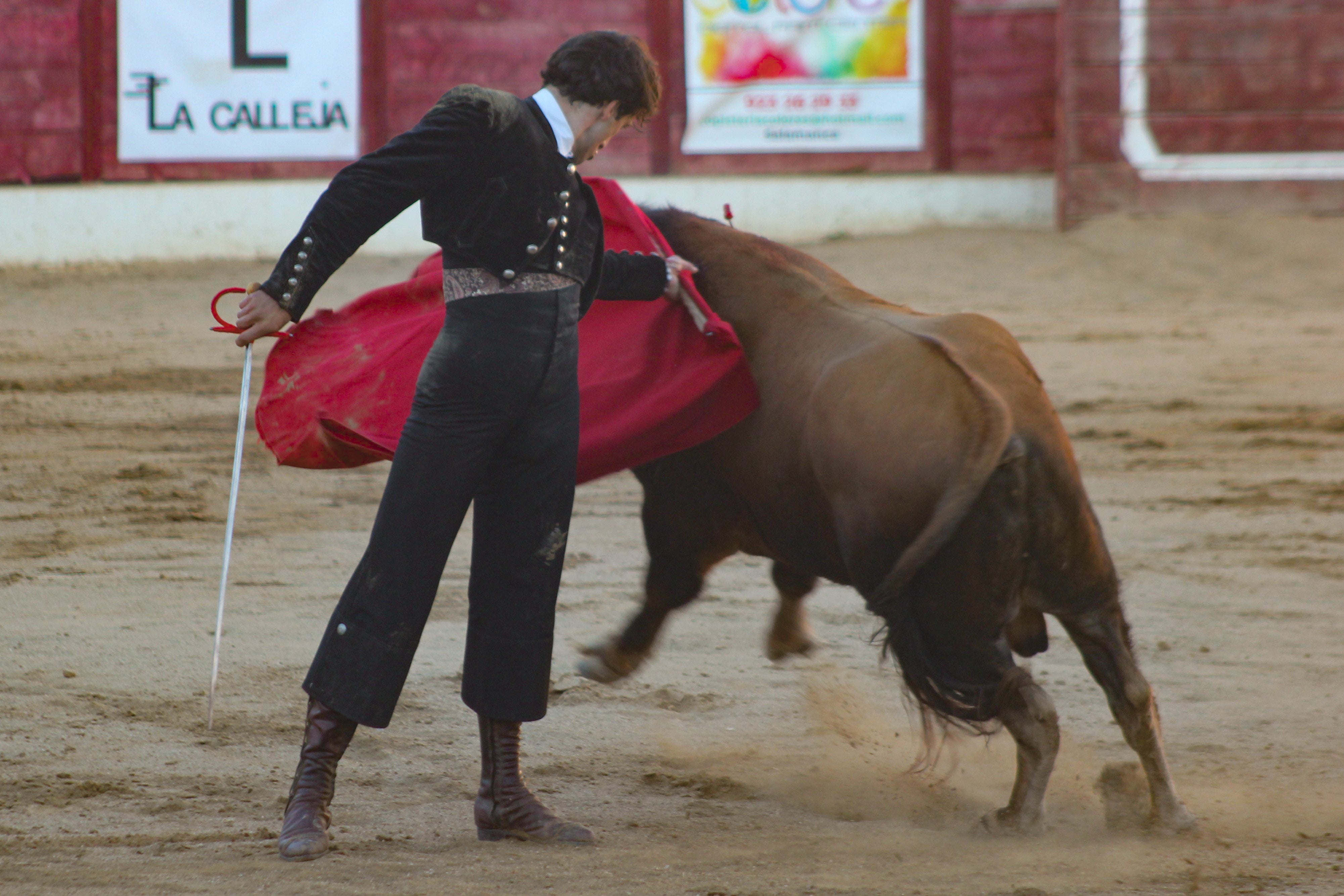 El festival taurino de Aerscyl, en imágenes