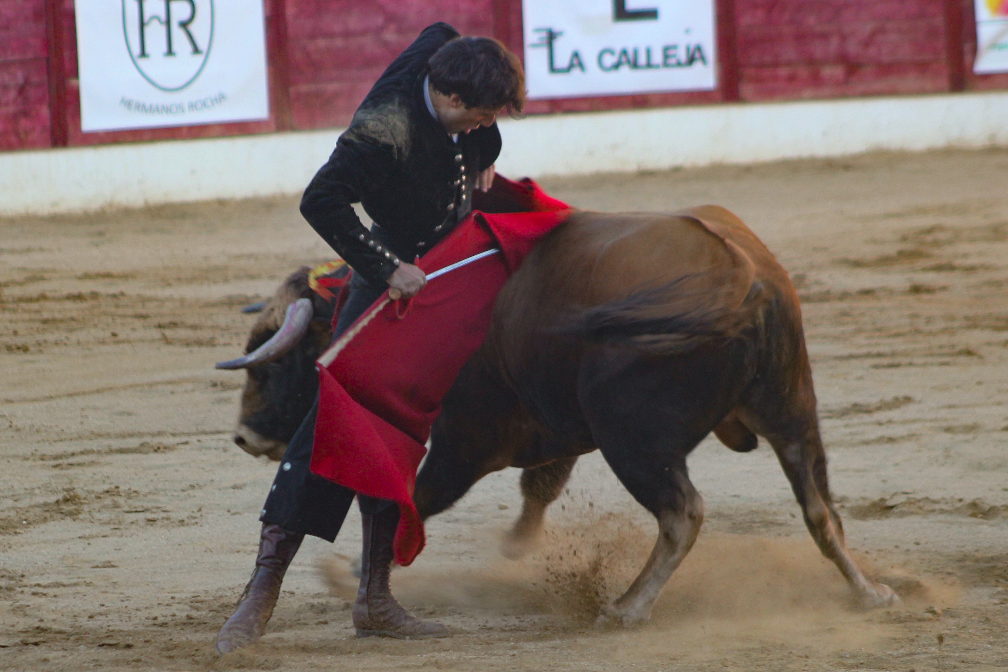El festival taurino de Aerscyl, en imágenes