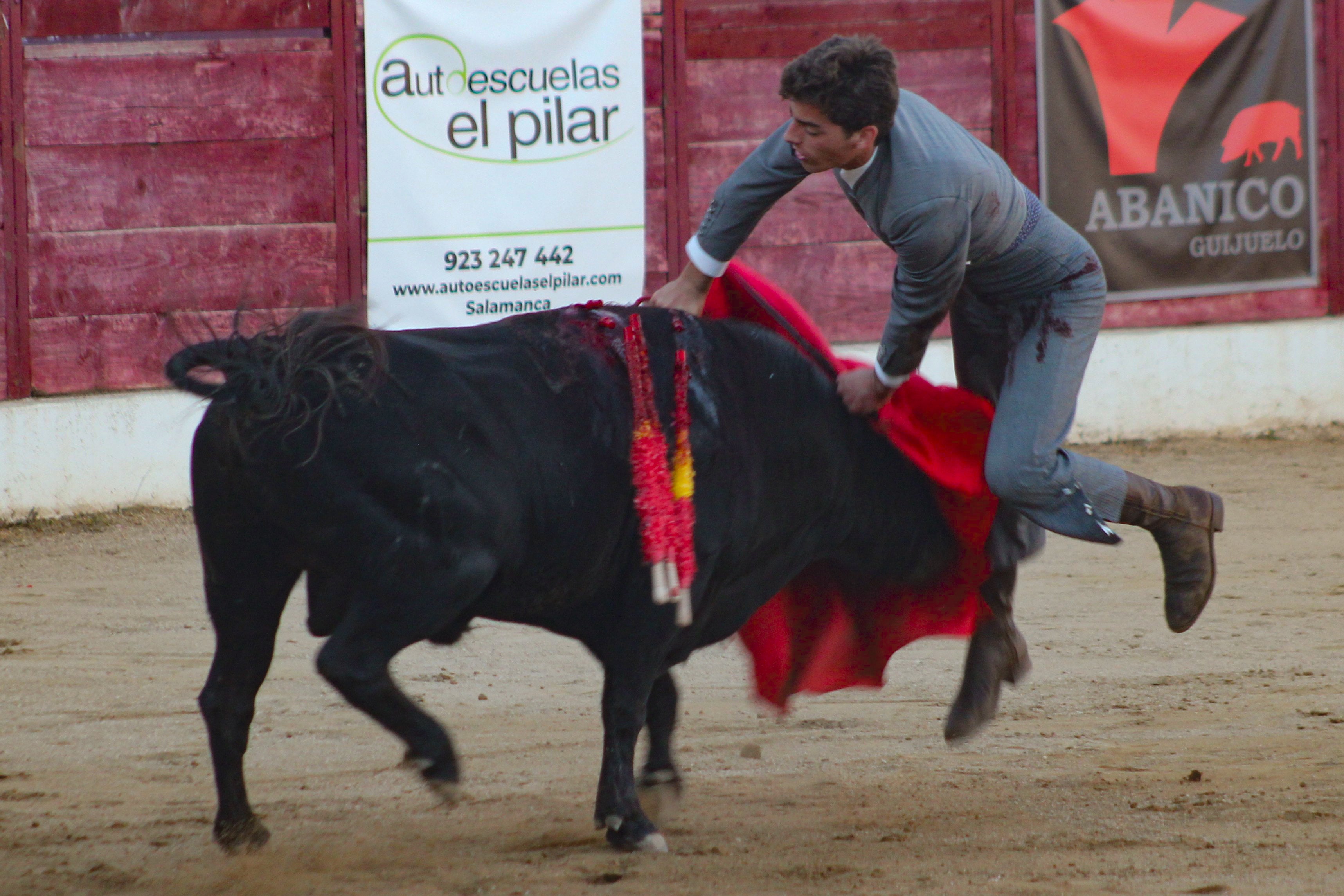 El festival taurino de Aerscyl, en imágenes