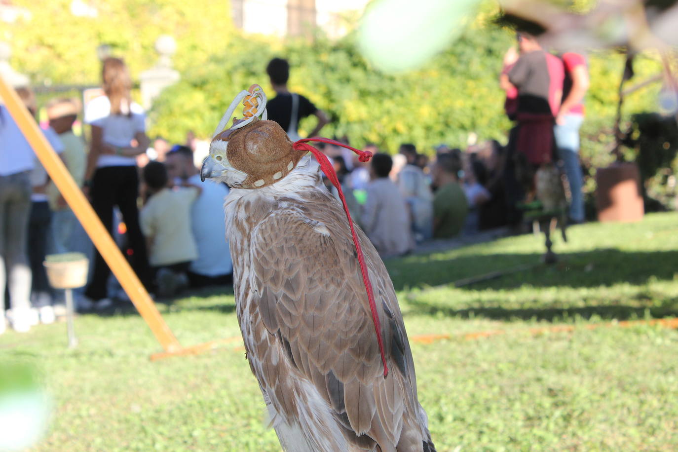 Ciudad Rodrigo despide la VIII Feria Medieval con el poderío de los caballeros