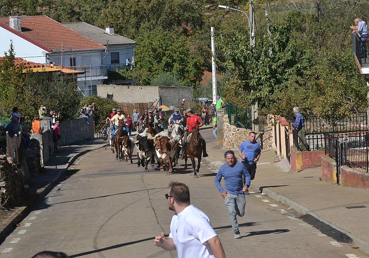 Bello encierro a caballo en las calles de El Maíllo
