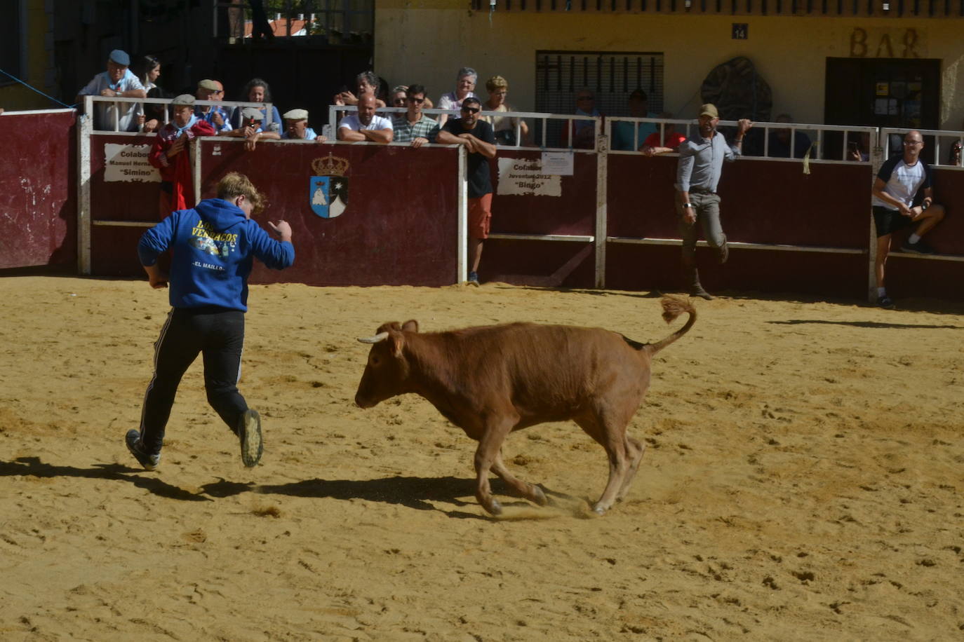 Bello encierro a caballo en las calles de El Maíllo