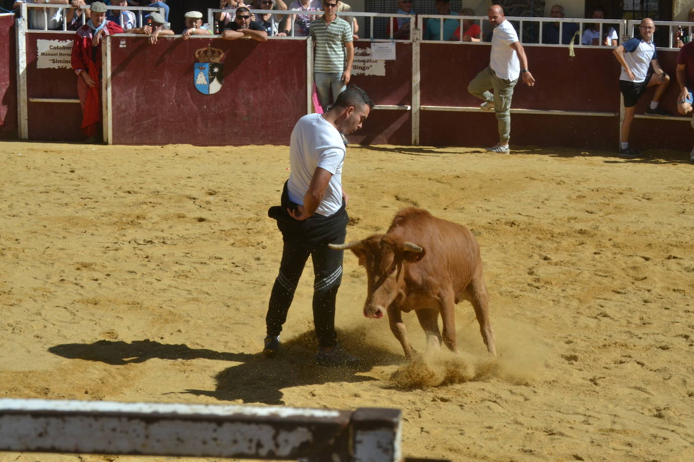 Bello encierro a caballo en las calles de El Maíllo