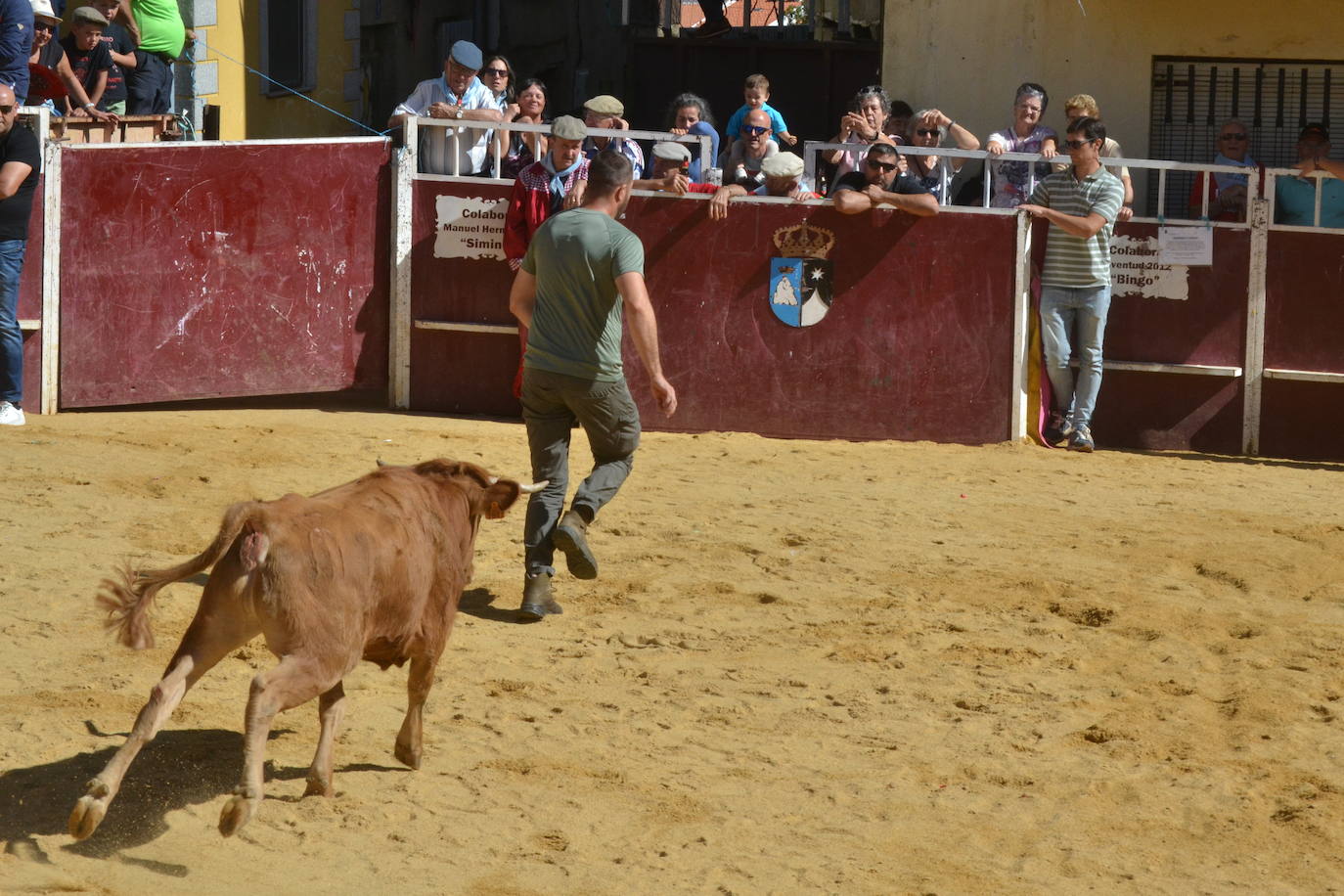 Bello encierro a caballo en las calles de El Maíllo