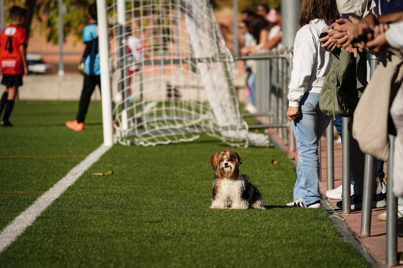 Las mejores imágenes de la jornada 2 de futbol base