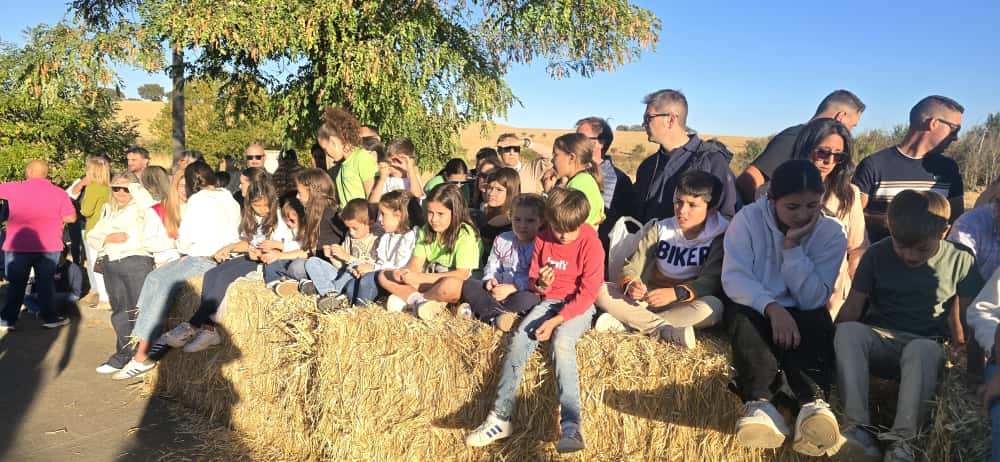 Día grande en Aldehuela de la Bóveda con procesión, bueyada infantil y autos locos