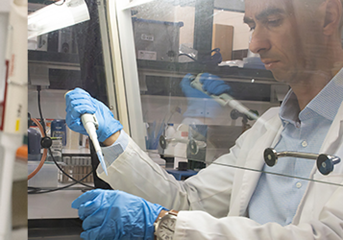 Imagen de Raúl Rivas, catedrático de Microbiología, en el laboratorio.