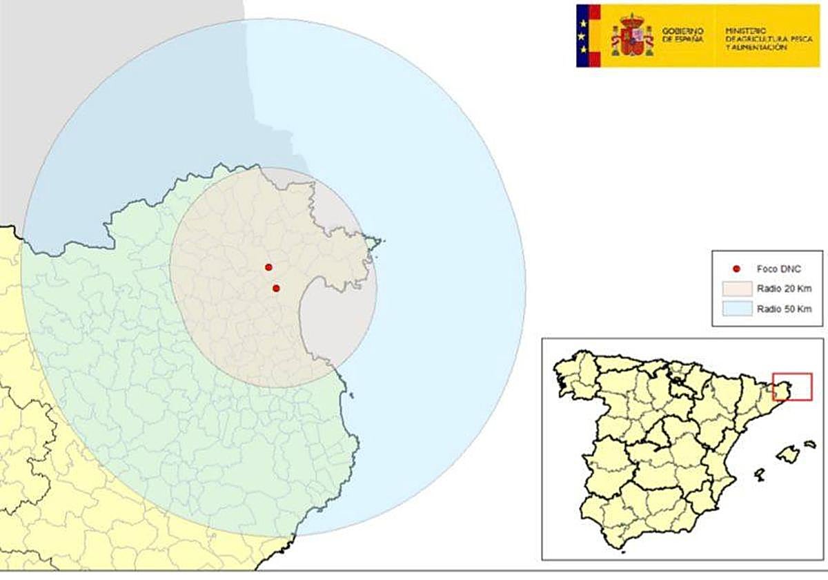 Confirmado el segundo caso de dermatosis nodular contagiosa
