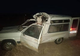 Estado en el que quedó el vehículo, con el caballo aún en su interior.